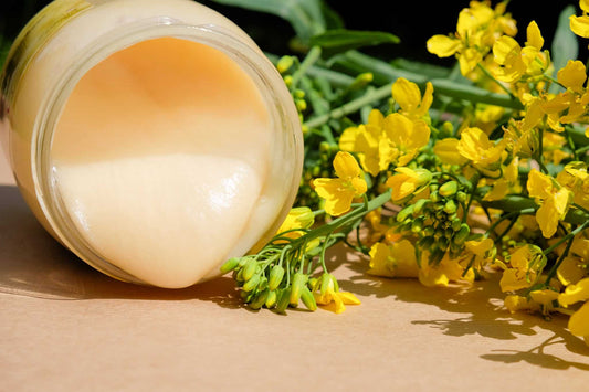 Miód rzepakowy – białe złoto polskich pól dla serca i energii